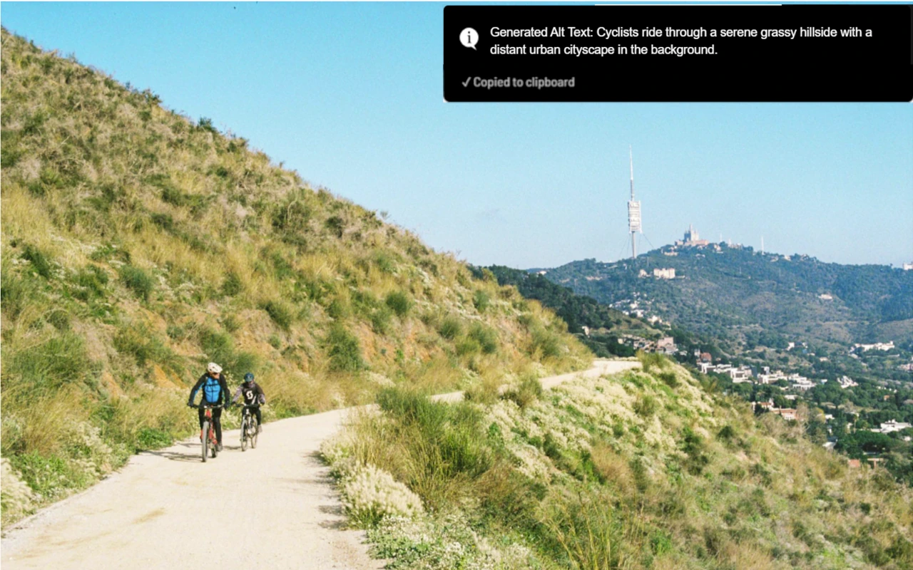 AltTextify browser extension showing generated alt text copied to clipboard